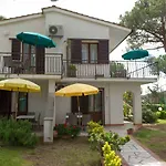 Le Mimose Daire