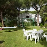 Daire Le Mimose