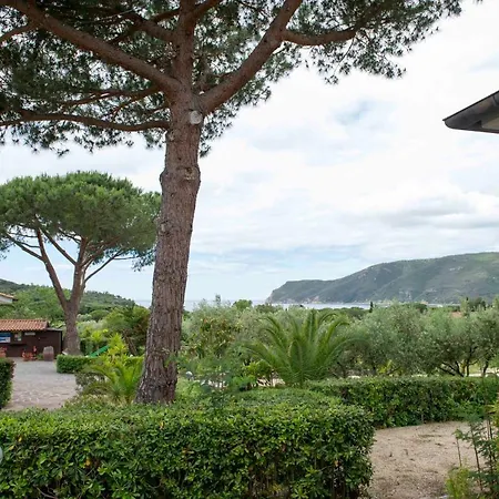 Le Mimose Apartment